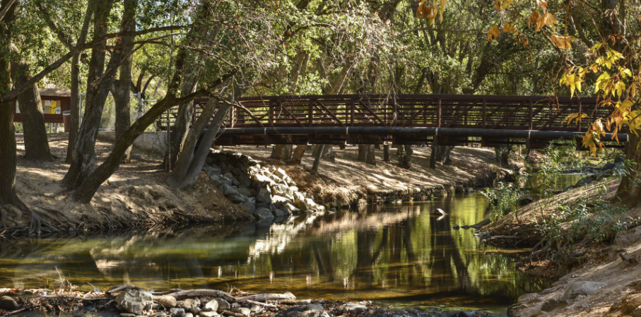 Escape to Nature: Your Ultimate Guide to Anderson Lake County Park in Morgan Hill